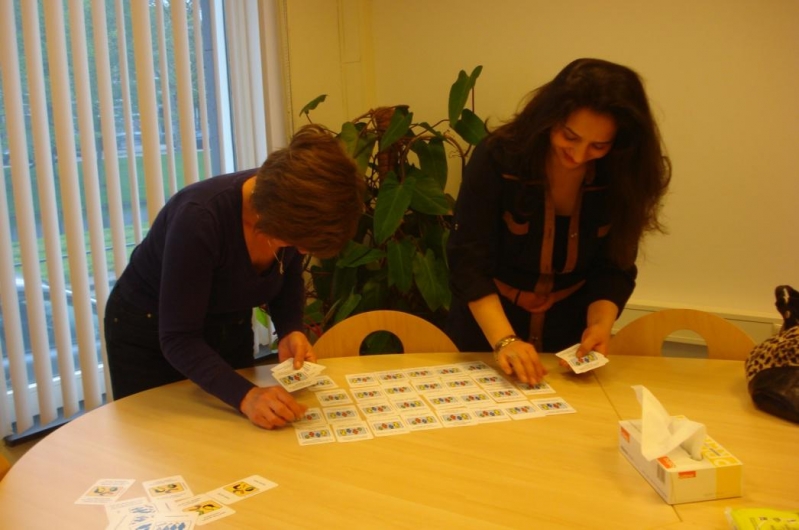 PAUW IN DE SOCIALE SECTOR
